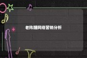 老陈醋网络营销分析 