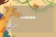 seu网络营销 