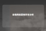 吉他网络营销环境分析 