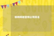 榆林网络营销公司排名 