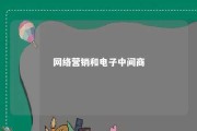 网络营销和电子中间商 