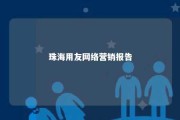 珠海用友网络营销报告 