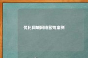 优化同城网络营销案例 