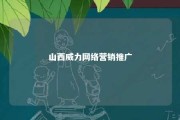 山西威力网络营销推广 