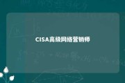 CISA高级网络营销师 