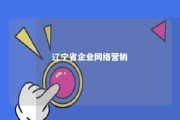 辽宁省企业网络营销 