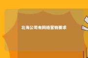 北海公司有网络营销要求 