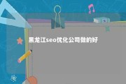 黑龙江seo优化公司做的好 