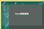 boss网络营销 