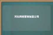 河北网络营销加盟公司 