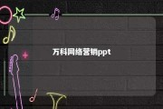 万科网络营销ppt 