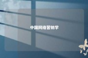 中国网络营销学 