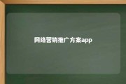 网络营销推广方案app 