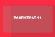 湖南省网络营销公司排名 