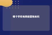 哪个学校有网络营销本科 