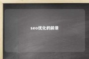 seo优化的前景 