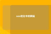 seo优化中的网站 