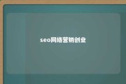 seo网络营销创业 