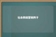 社会网络营销例子 