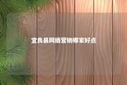 宜良县网络营销哪家好点 