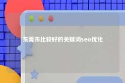 东莞市比较好的关键词seo优化 