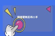 网络营销王玮二手 