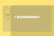 广西高效网络营销技巧 