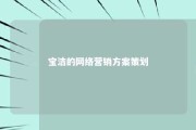 宝洁的网络营销方案策划 