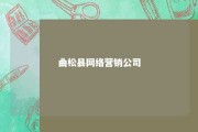 曲松县网络营销公司 