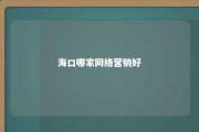 海口哪家网络营销好 