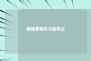 网络营销实习报周记 