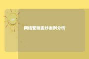 网络营销面纱案例分析 