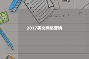 2017英文网络营销 