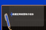 岳麓区网络营销介绍会 