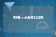 汤阴县seo优化哪家的正规 