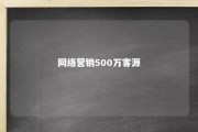 网络营销500万客源 