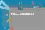 漯河saas级网络营销企业 