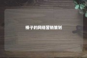 榛子的网络营销策划 