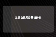 三只松鼠网络营销计划 