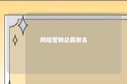 网络营销总裁报名 