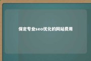 保定专业seo优化的网站费用 