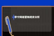 李宁网络营销现状分析 