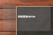 网络营销IWOM 