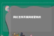 网红怎样开展网络营销的 