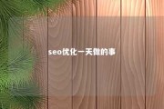 seo优化一天做的事 