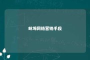 蚌埠网络营销手段 