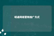 昭通网络营销推广方式 