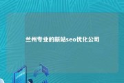 兰州专业的新站seo优化公司 