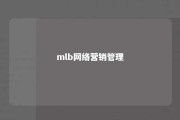 mlb网络营销管理 