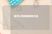 新开公司网络营销方案 